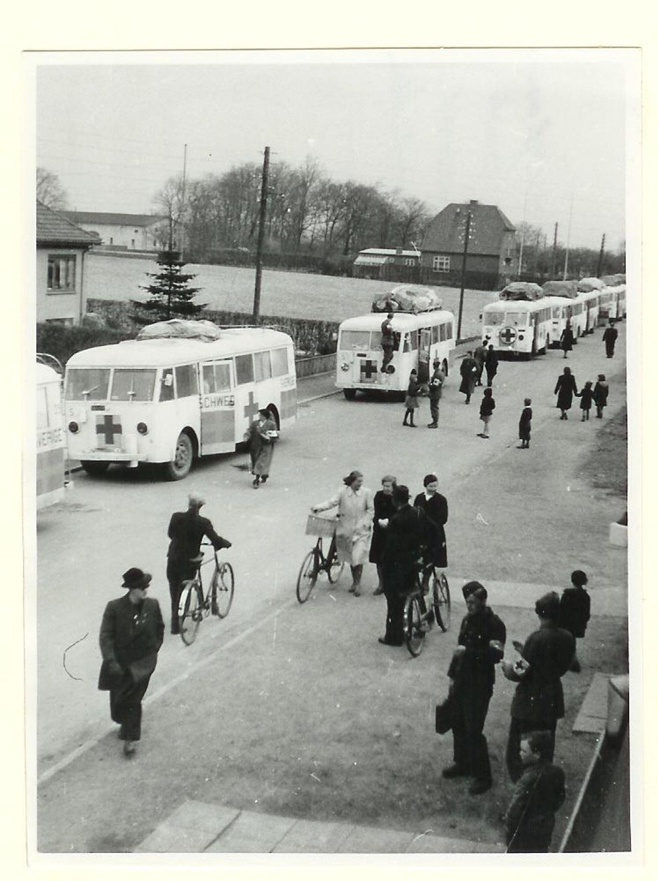 White Swedish Red Cross buses parked along a road at Padborg, Denmark, on 17 April 1945, with civilians gathered beside them.