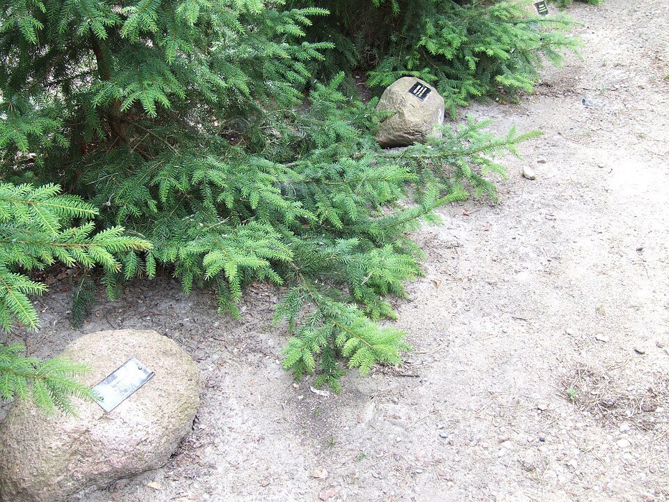 Memorial stones at the Sobibor memorial site in Poland.